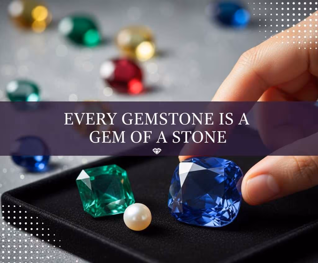 Explore the Collection