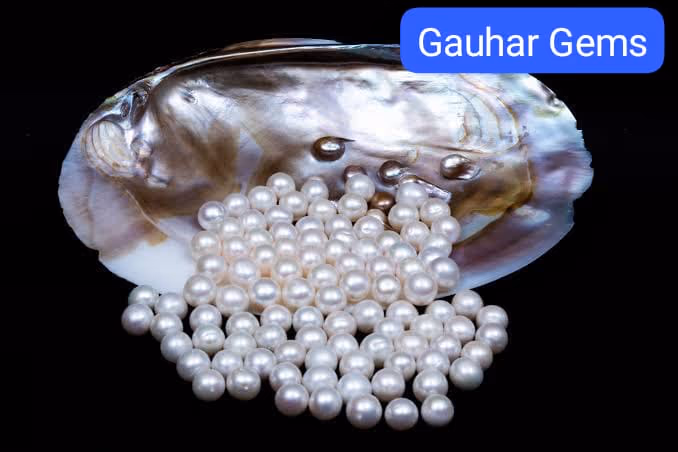 Pearl - Gallery image 6