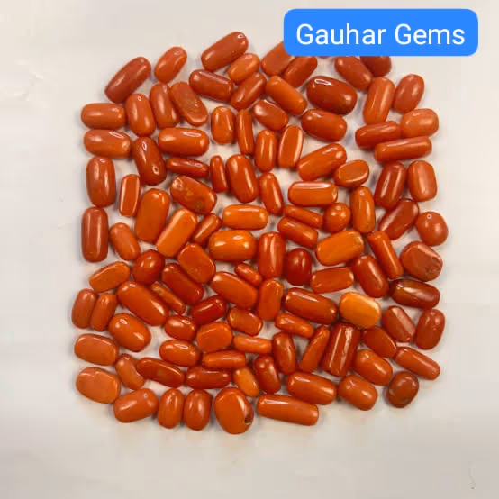 Red Coral - Gallery image 2