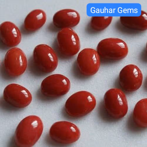 Red Coral - Gallery image 3