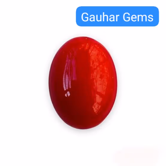 Red Coral - Gallery image 4